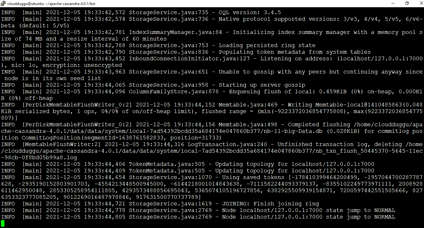 cassandra starting output cloudduggu