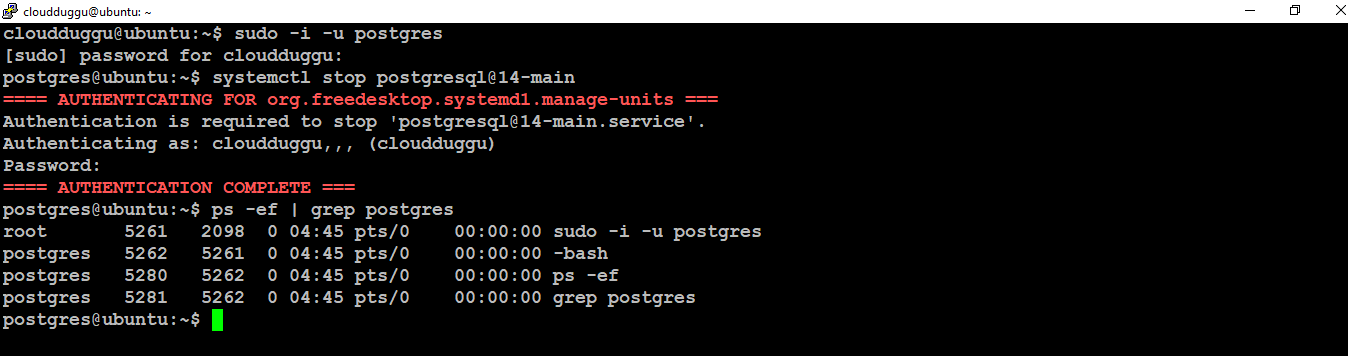 postgresql stop database cluster