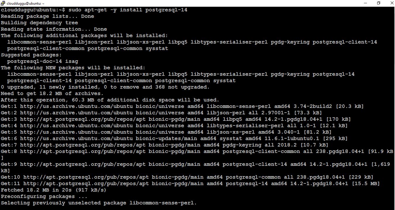 postgresql installation command