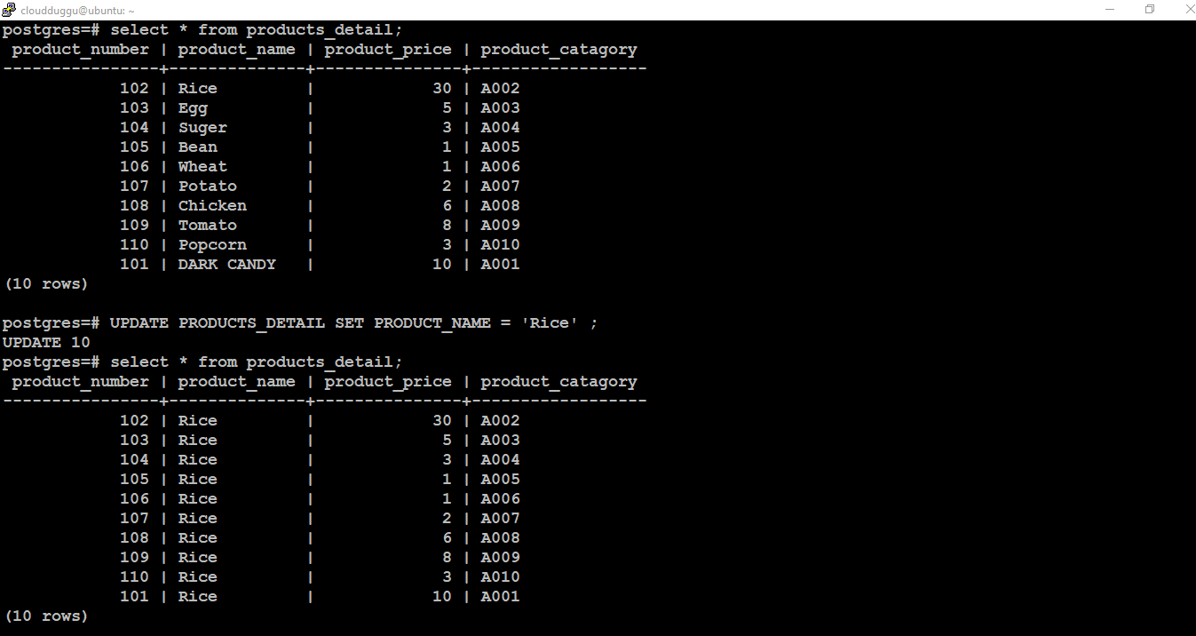 postgresql-update-query-cloudduggu-cloudduggu