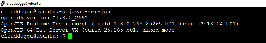 cloudduggu_java_version